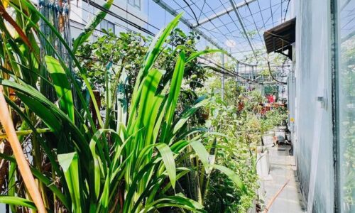 BÁN NHÀ NGANG BỀ THẾ – NHÀ NỞ XÂY RẤT ĐẸP