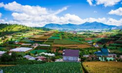 Đất sào tại Lâm Đồng được nhà đầu tư săn tìm trở lại