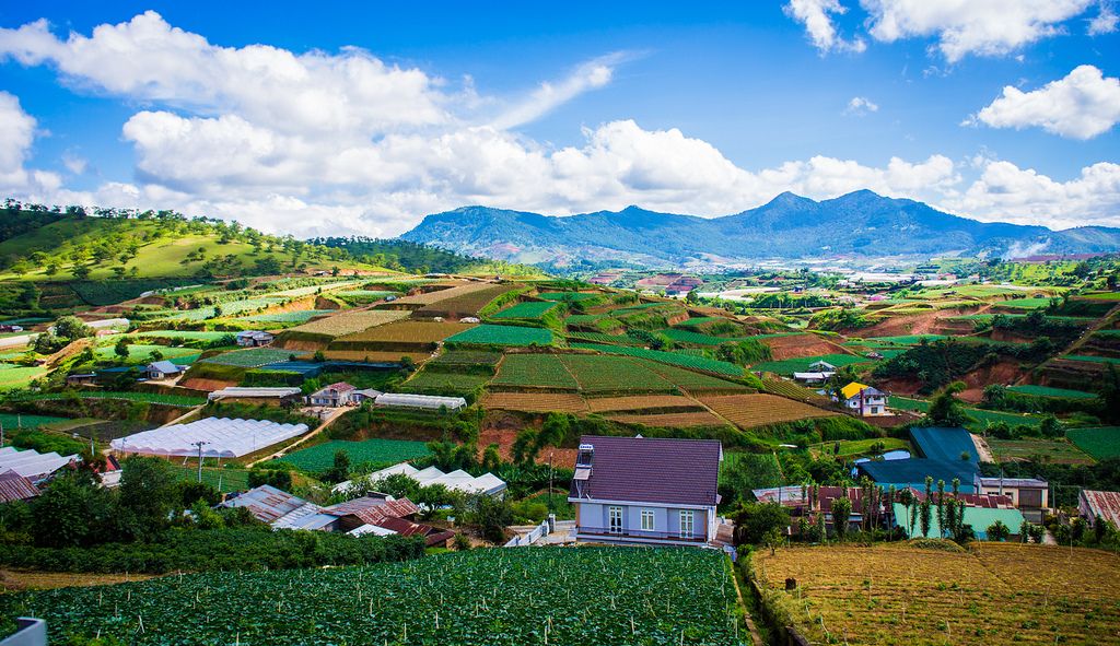 Đất sào tại Lâm Đồng được nhà đầu tư săn tìm trở lại