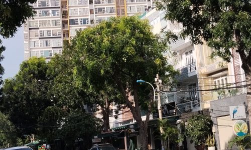 Nhà bán Phú Thuận quận 7.Giá 11.400 tỷ