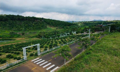 💥 Đất nghỉ dưỡng sổ riêng từng nền – Cơ hội đầu tư sinh lời tại Bảo Lộc!