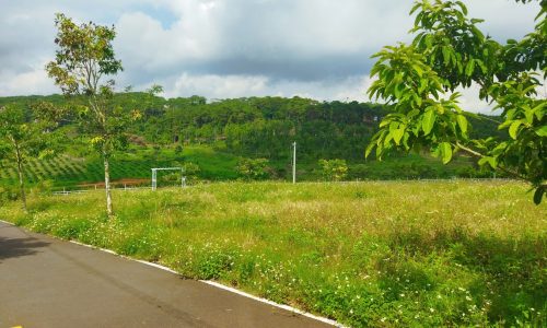 Bán đất sổ sẳn từng lô view hồ đồi chè – 130m2 – 1ty1