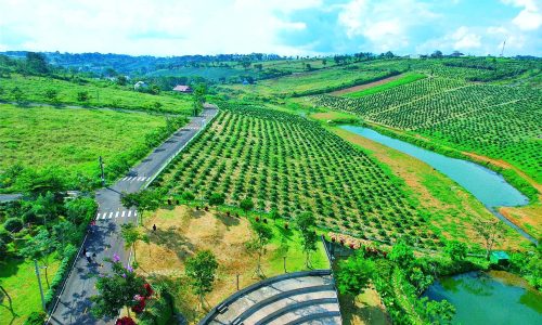 Bán lô đất biệt thự tại khu nghỉ dưỡng Làng Omm Bảo Lộc