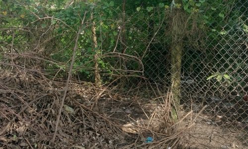 Cần bán lô đất nền 3500m2 đất ở thôn bích bắc. Phường điện thắng bắc. Thành phố đà nẵng
